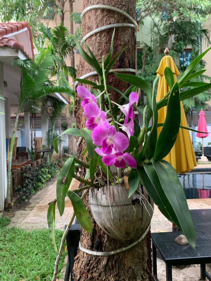 فندق Angkor Magic Tree Boutique سيام ريب المظهر الخارجي الصورة