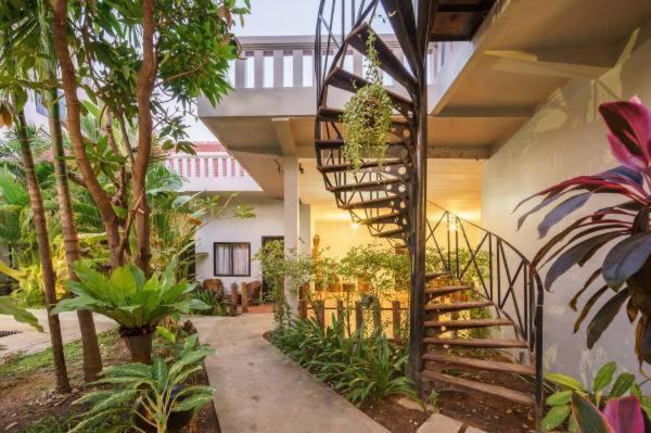 فندق Angkor Magic Tree Boutique سيام ريب المظهر الخارجي الصورة