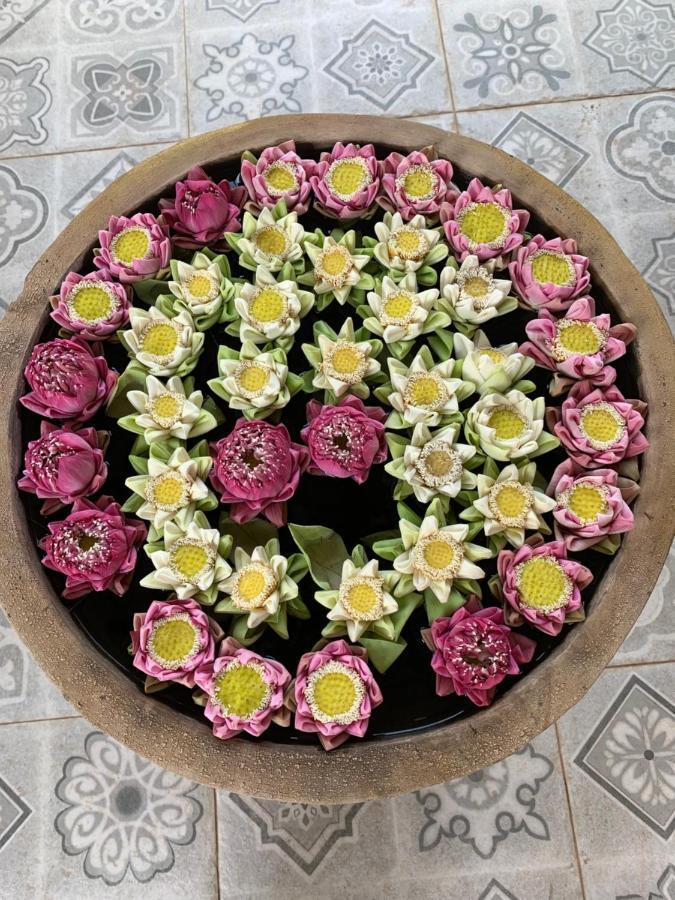 فندق Angkor Magic Tree Boutique سيام ريب المظهر الخارجي الصورة