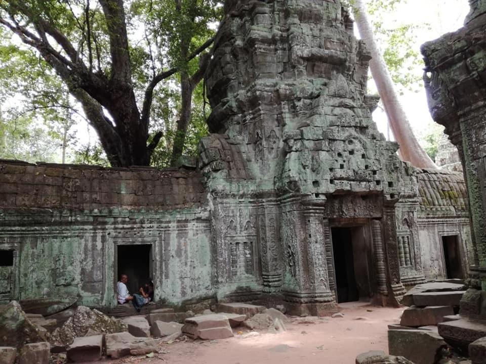 فندق Angkor Magic Tree Boutique سيام ريب المظهر الخارجي الصورة