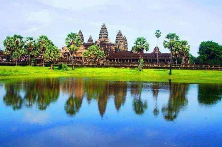 فندق Angkor Magic Tree Boutique سيام ريب المظهر الخارجي الصورة