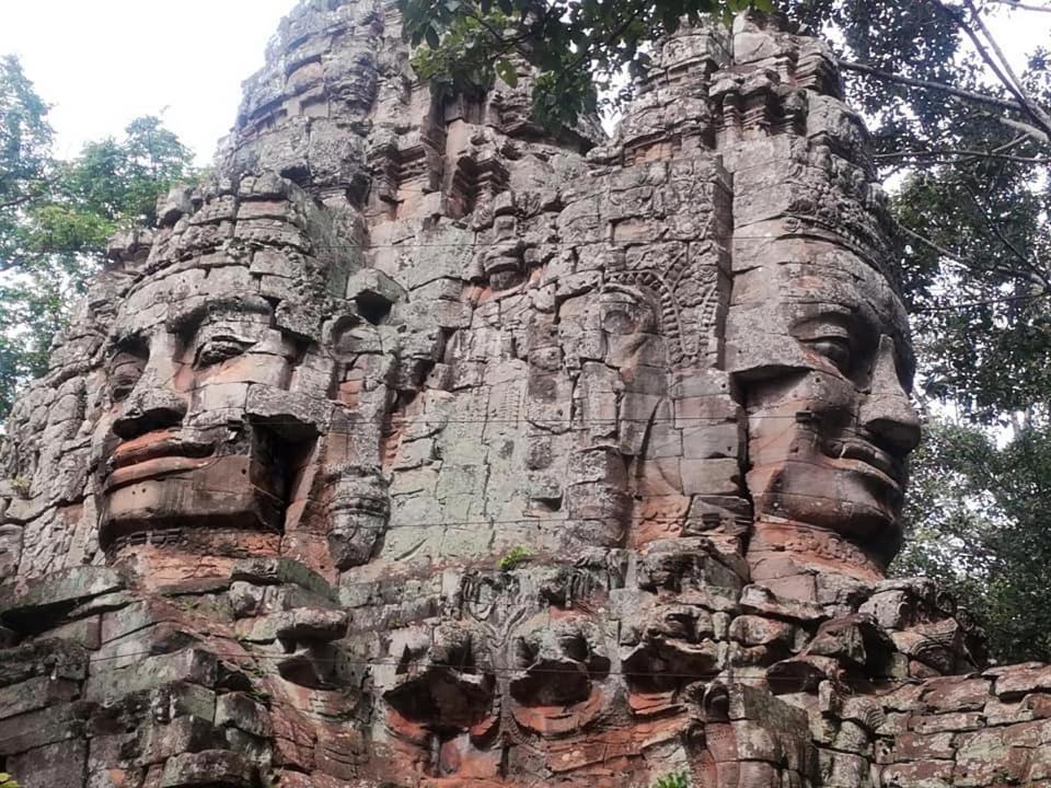 فندق Angkor Magic Tree Boutique سيام ريب المظهر الخارجي الصورة