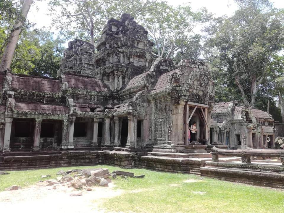 فندق Angkor Magic Tree Boutique سيام ريب المظهر الخارجي الصورة
